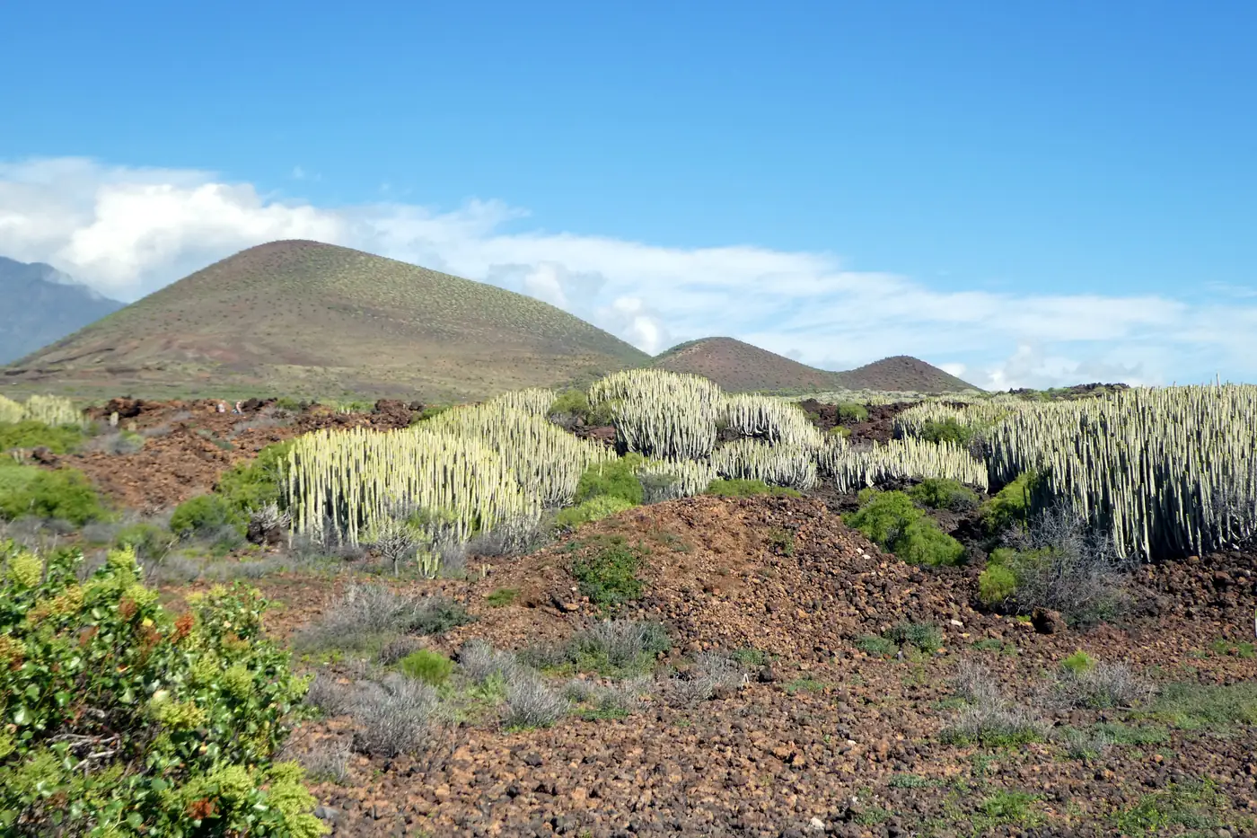 The lava field of the Malpaís de Güímar nature reserve with its volcanic cone, Tenerife.