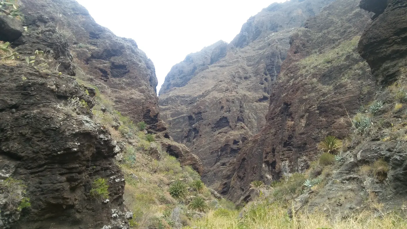 The Barranco de Masca gorge cutting through the Teno mountains of Tenerife.