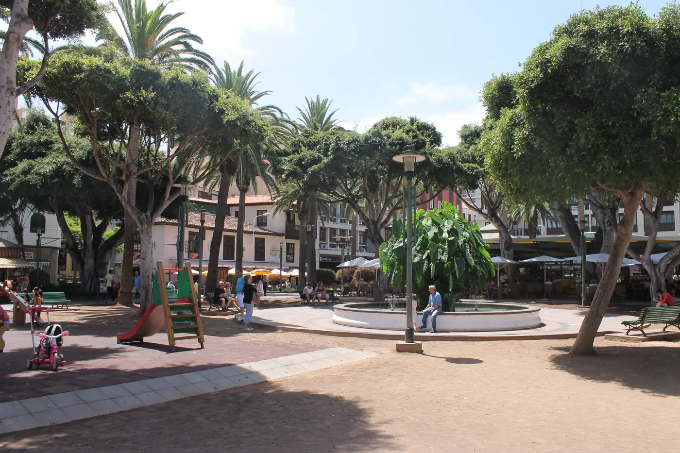 Plaza del Charco in Puerto de la Cruz, Tenerife, with its trees and benches.