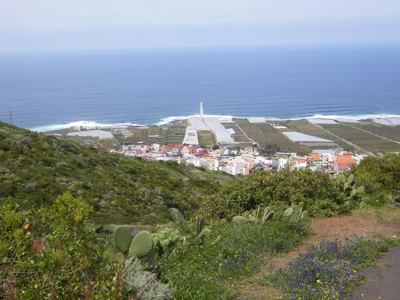 Punta del Hidalgo seen from the hills, with the village and its lighthouse on the north-east coast of Tenerife.